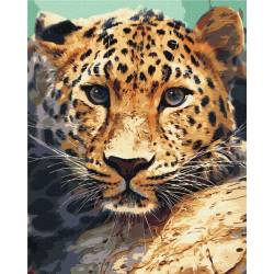 Портрет леопарда 
