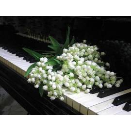 Алмазная выкладка - Цветы на клавишах рояля