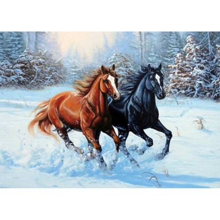 Коні в снігу