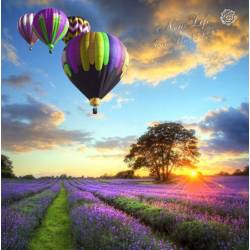 Пейзаж с воздушными шарами