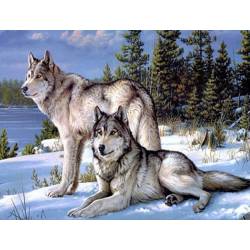 Волк и волчица - на подрамнике