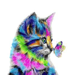 Котик в красках