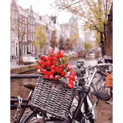 Доставка тюльпанів в Амстердамі