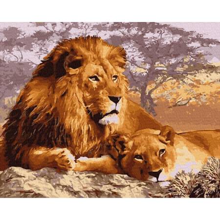 Сім'я левів