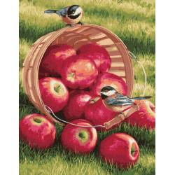 Яблоки для птичек