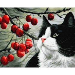 Кіт і ягоди