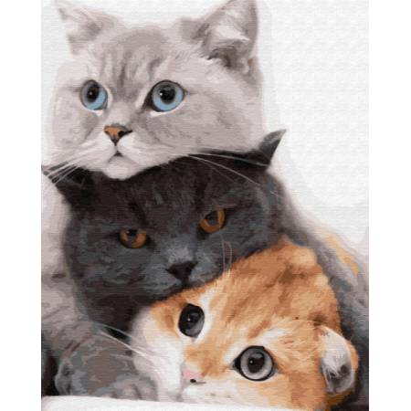 Три котики