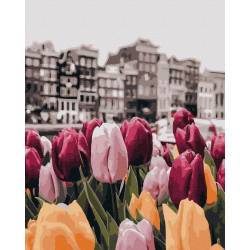 Квіти Амстердама