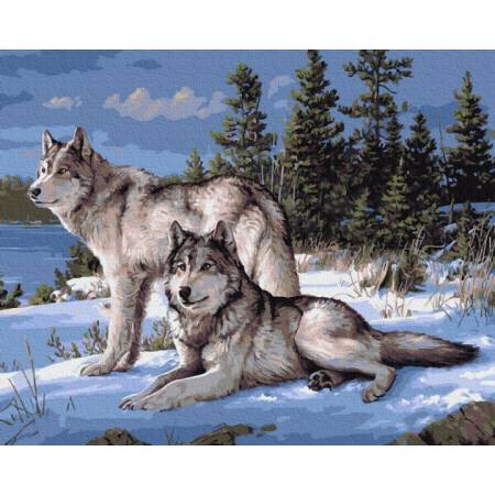 Зимние волки на снегу