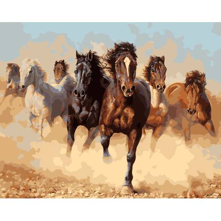 Картина за номерами Зграя коней, GX8945