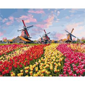 Краски Голландии