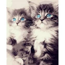 Блакитноокі кошенята