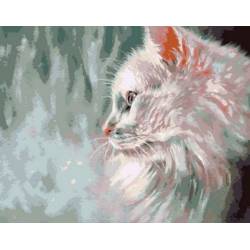 Пухнастий білий кіт