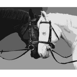 Черный и белый конь 