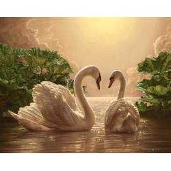 Лебединая пара на пруду
