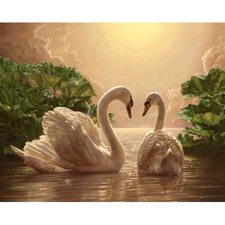 Лебединая пара на пруду
