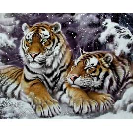 Пара тигров в снегу 