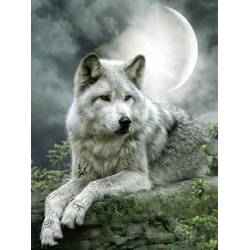 Волк под луной