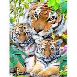 Тигрята с мамой