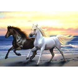 Лошади скачут с морским ветром