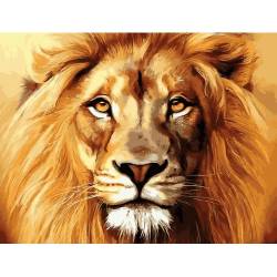 Лев - король зверей 