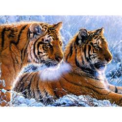 Тигры в зимнем лесу 