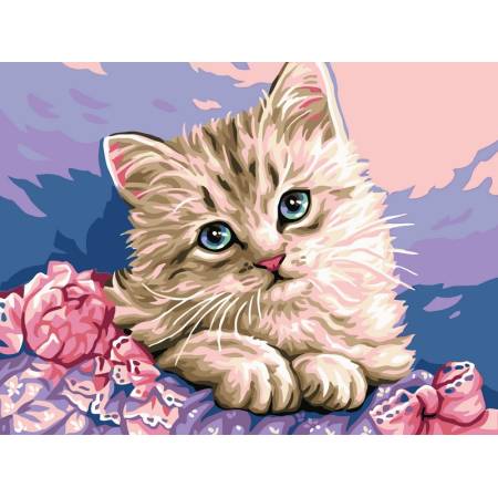 Картина за номерами Ніжний котик, VK118