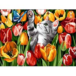 кошеня в тюльпанах