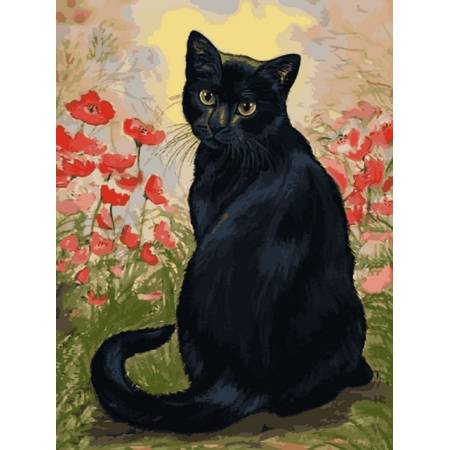 Картина за номерами Чорна кішка в маках , VK274