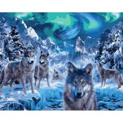 Волки и северное сияние