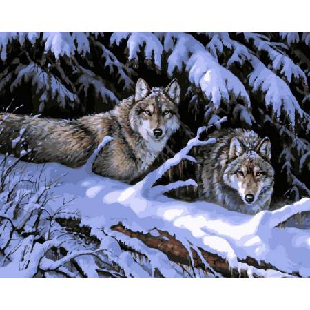 Вовки в лісі