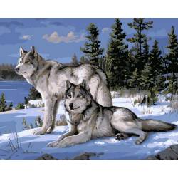 Вовки на снігу