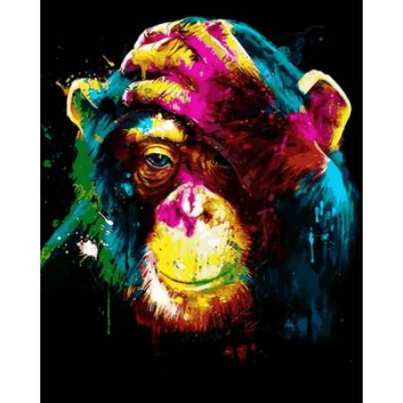 Картина за номерами Мавпа філософ, VP752