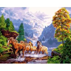 Лошади на берегу горного озера